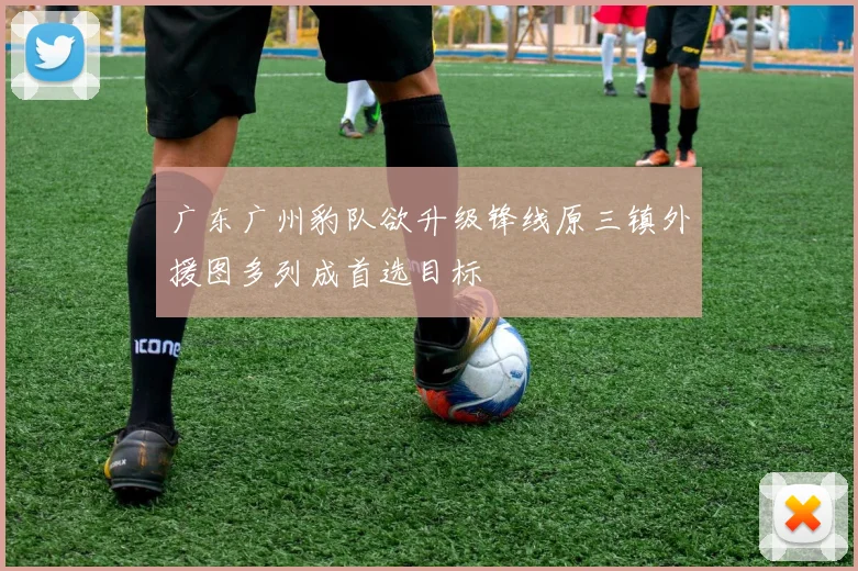 广东广州豹队欲升级锋线原三镇外援图多列成首选目标