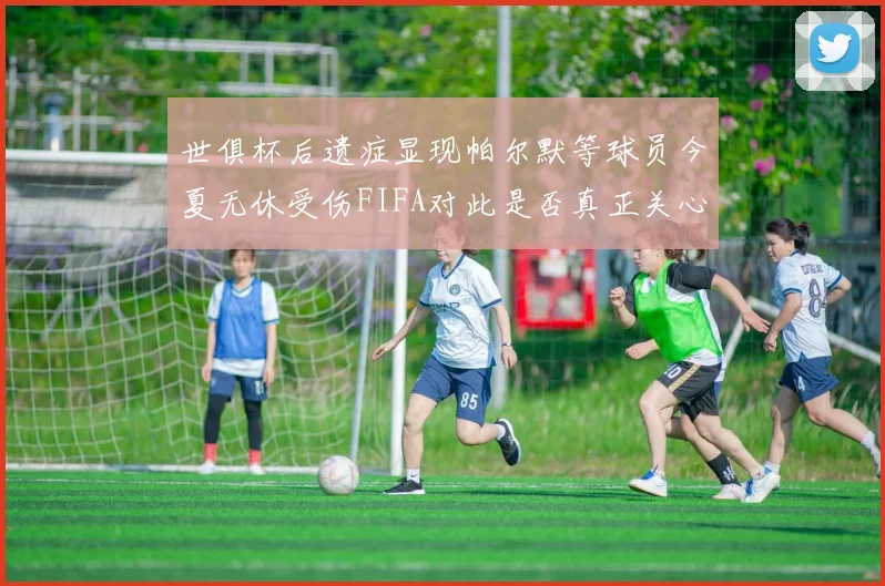 世俱杯后遗症显现帕尔默等球员今夏无休受伤FIFA对此是否真正关心