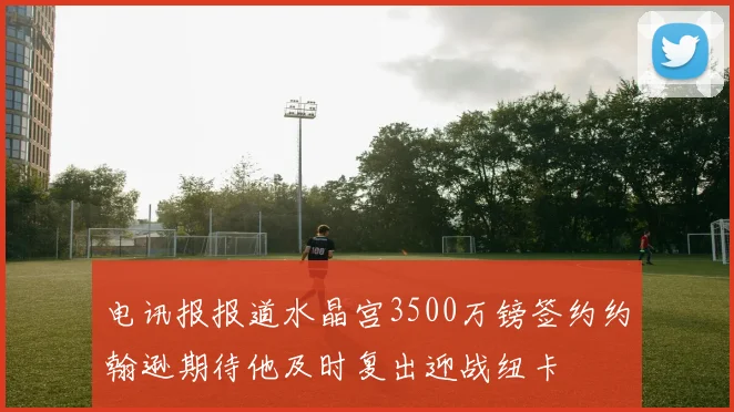 电讯报报道水晶宫3500万镑签约约翰逊期待他及时复出迎战纽卡
