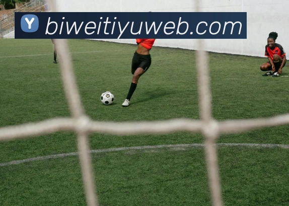 必威体育发展历程